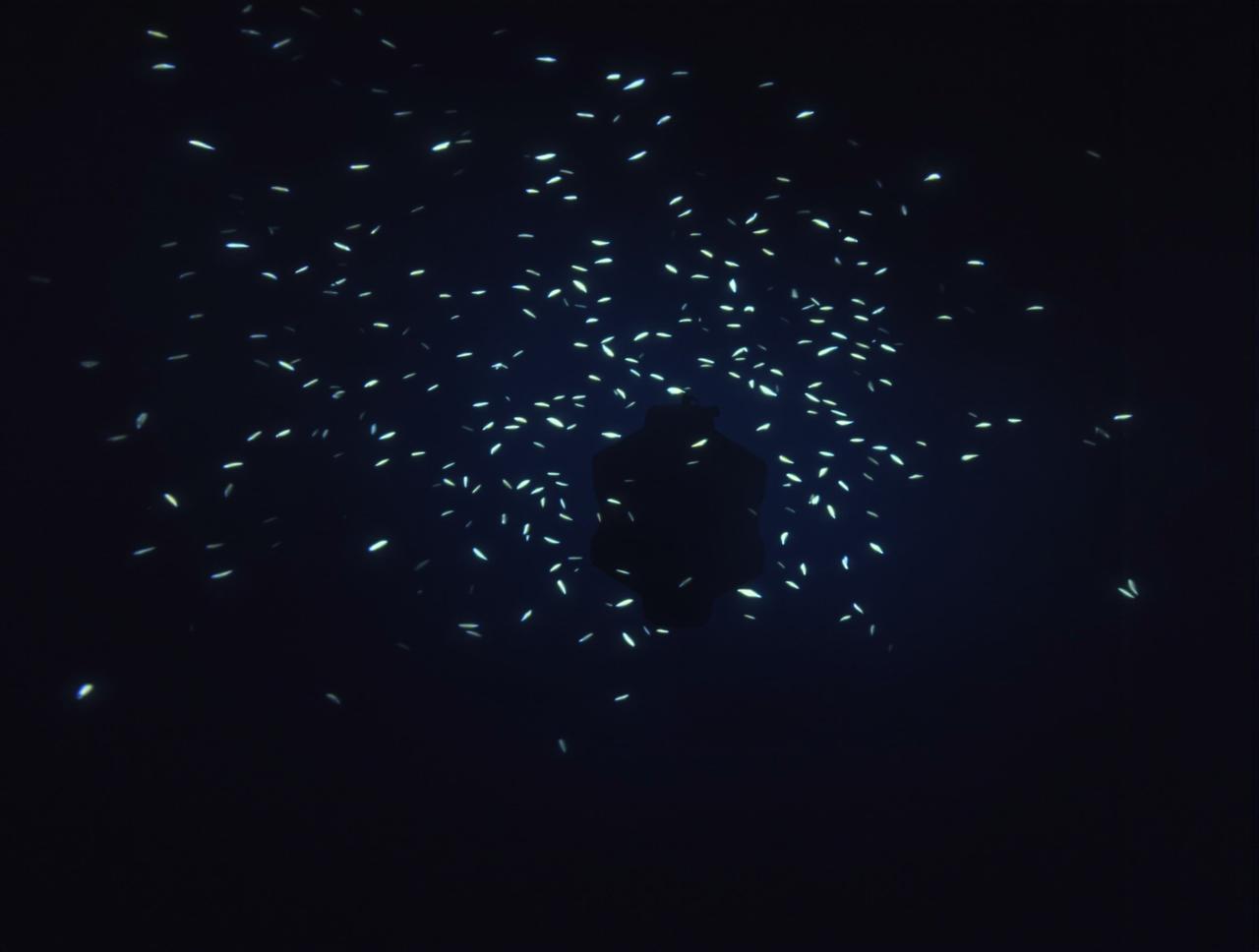 第一影视纪录片：深海探秘观后感分享